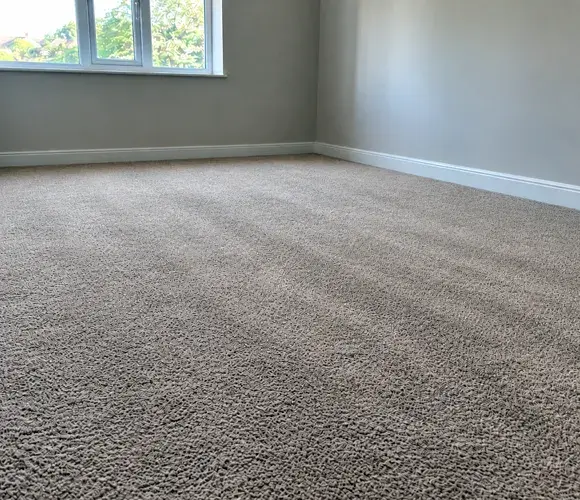 Same carpet after professional cleaning