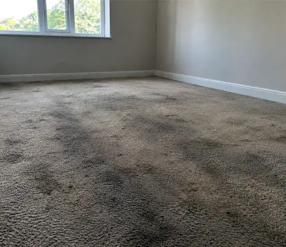 Carpet before professional cleaning