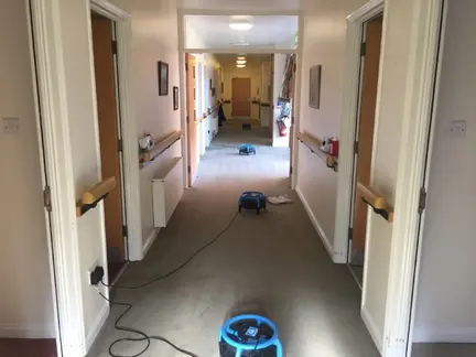 Carpet Cleaning Belfast