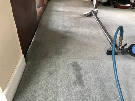 Carpet cleaning Hollywood