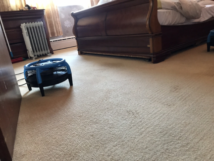 Carpet cleaning Hollywood Carpet cleaning Hollywood