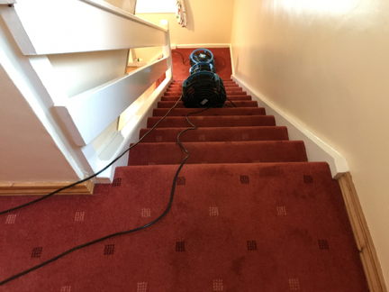 Stairs and landing carpet Newtownabbey