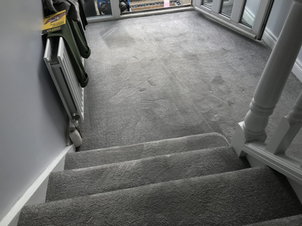 Carpet cleaners tile and grout cleaners Comber Carpet cleaners tile and grout cleaners Comber