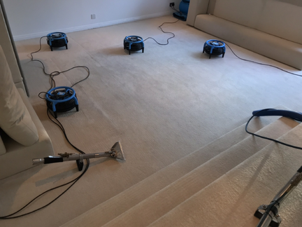 Carpet cleaning Bangor