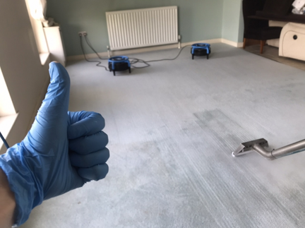 Carpet Cleaning Belfast Belfast