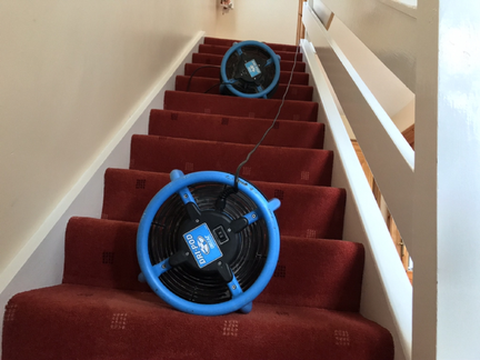 Stairs and landing carpet Newtownabbey
