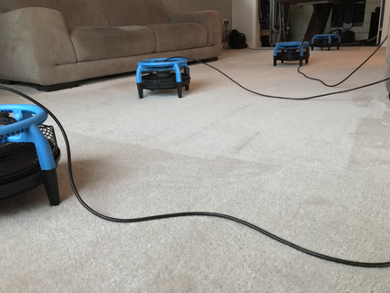 Carpet Cleaning Larne