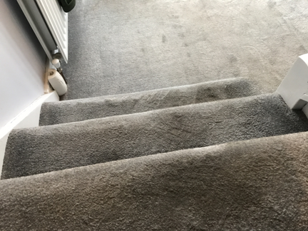 Carpet cleaners tile and grout cleaners Comber Carpet cleaners tile and grout cleaners Comber