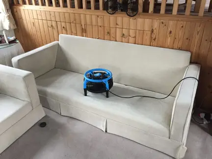 Upholstery cleaning Bangor County Down