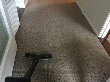Carpet Cleaning Bangor