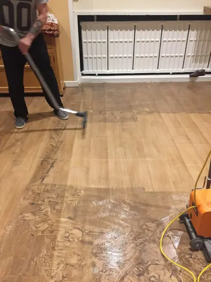 Carpet Cleaners