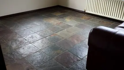 Carpet Cleaners