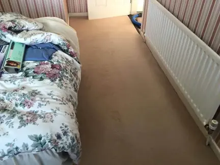 Carpet Cleaners