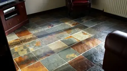 Carpet Cleaners